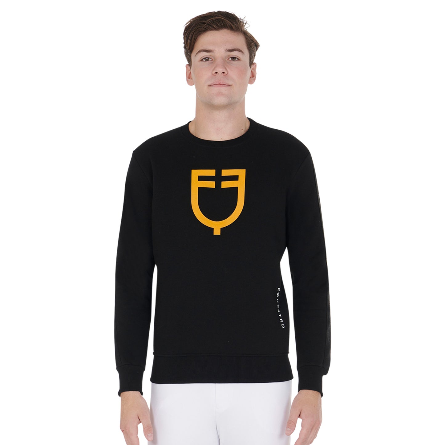 MENS COTTON SWEATSHIRT WITH LOGO (SAMPLE/SHOOTING)