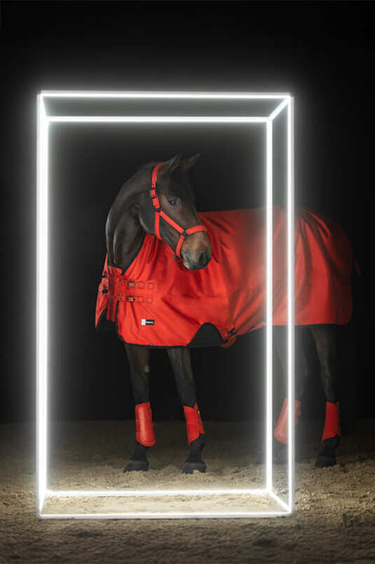 Eskadron Dynamic BETA 50 Turnout Rug
