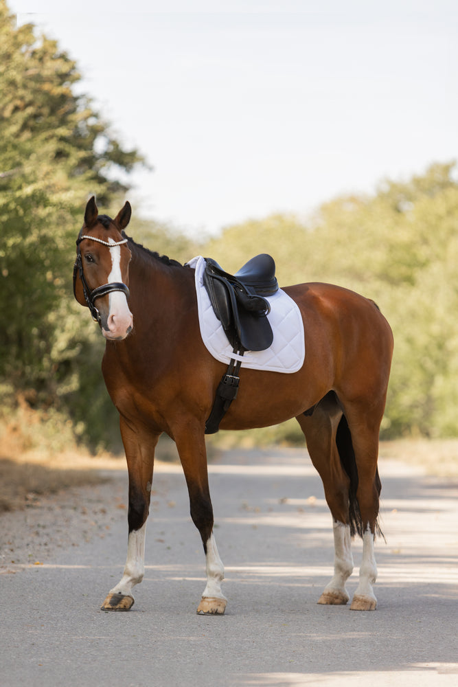 ESKADRON Pro Soft Saddlepad