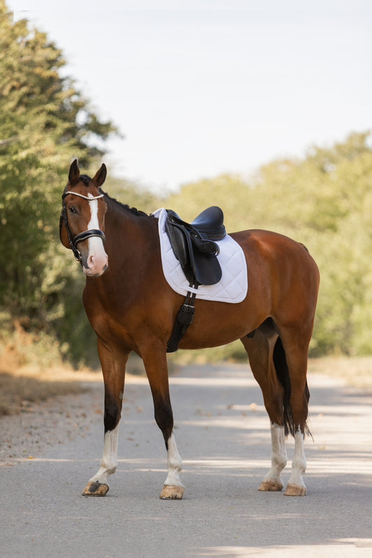 ESKADRON Pro Soft Saddlepad