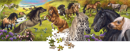 Large Panorama Puzzle