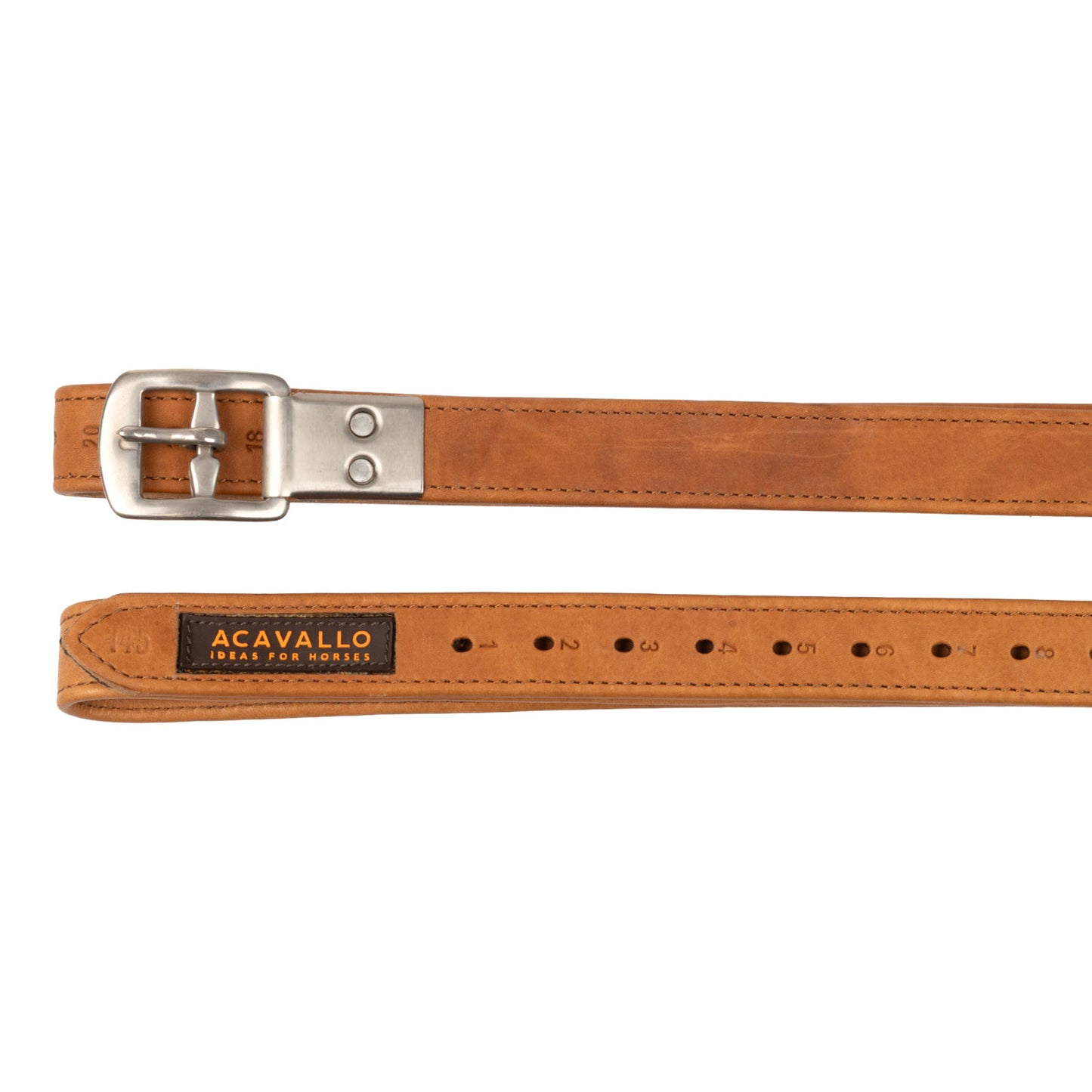 Calfskin stirrup leathers encased buckle