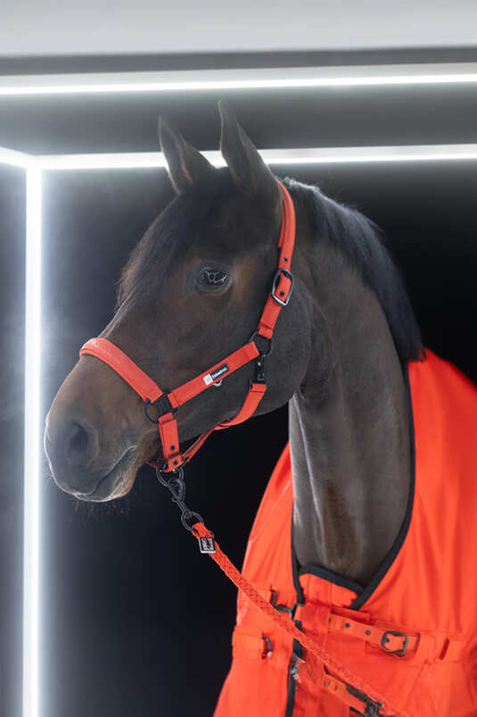 Eskadron Dynamic BETA 50 Turnout Rug
