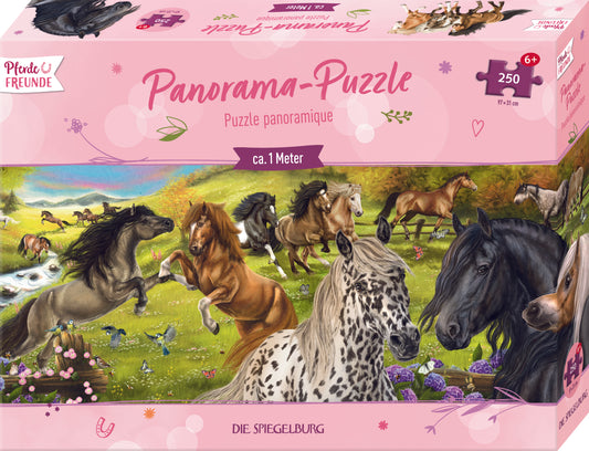 Large Panorama Puzzle